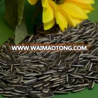 Sunflower seeds